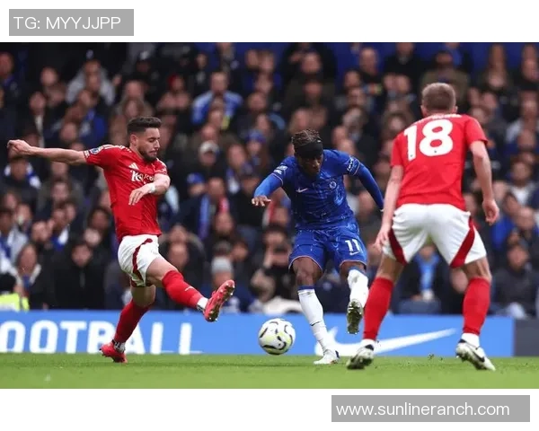 切尔西接近签约前利物浦球探总监戴夫法洛斯加盟球队